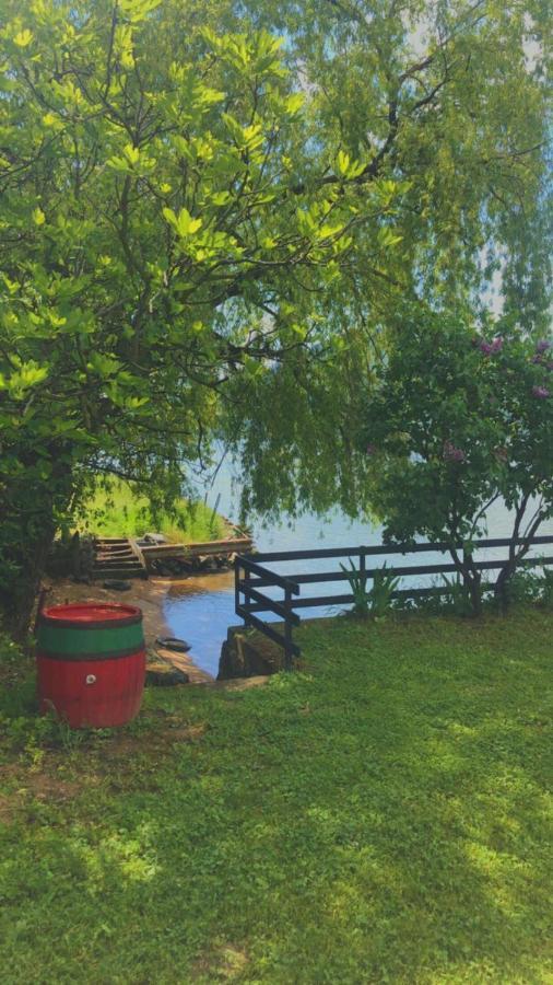 Dedin Raj Villa Golubac Ngoại thất bức ảnh